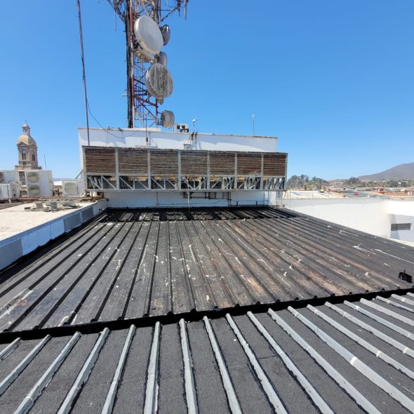 WhatsApp Image 2025-04-11 at 10.06.24 (19)