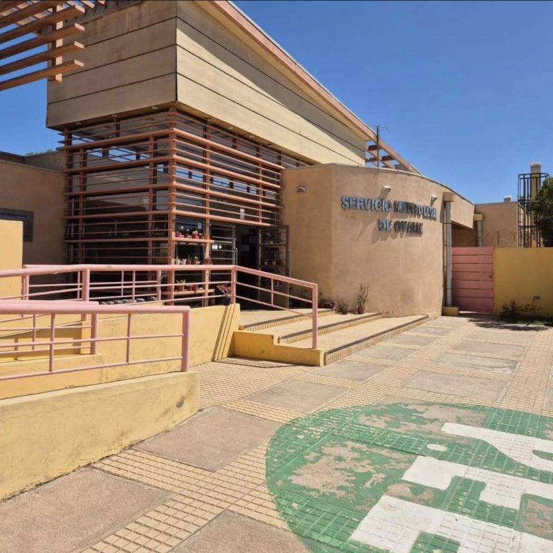 WhatsApp Image 2025-04-11 at 10.06.24